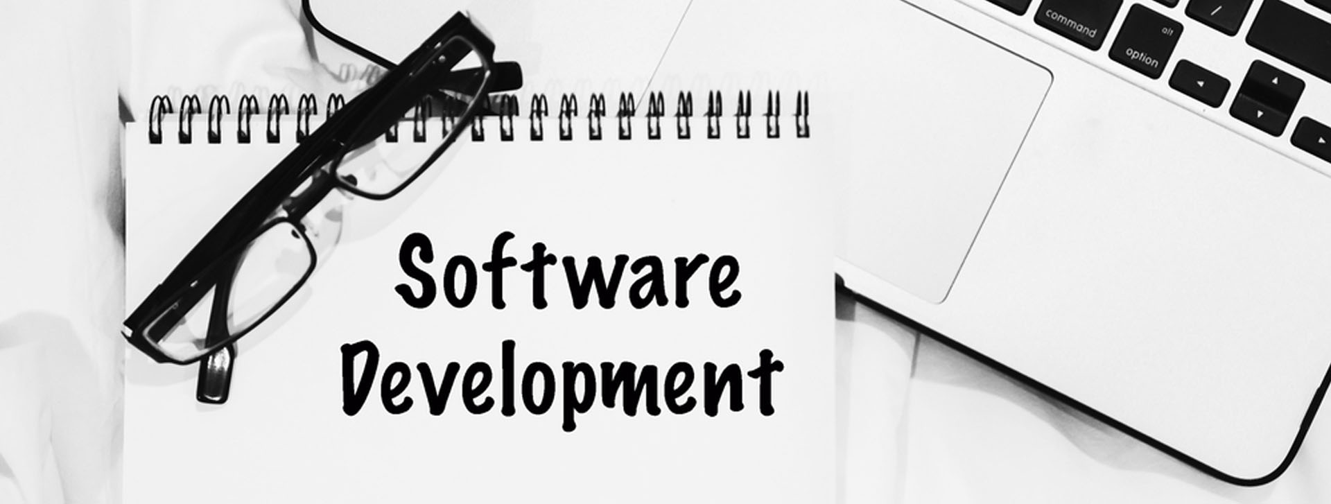 Software Services