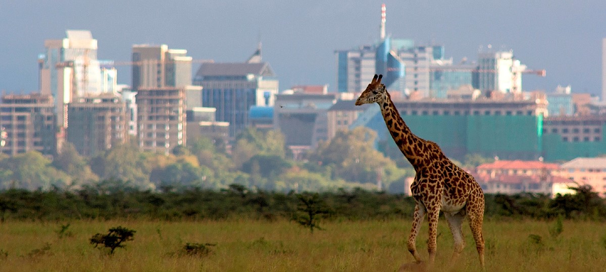 Nairobi National park